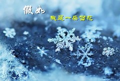 假如我是一朵雪花800字想象开云手机在线登入,开云(中国)